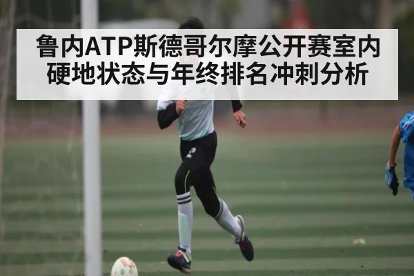 鲁内ATP斯德哥尔摩公开赛室内硬地状态与年终排名冲刺分析