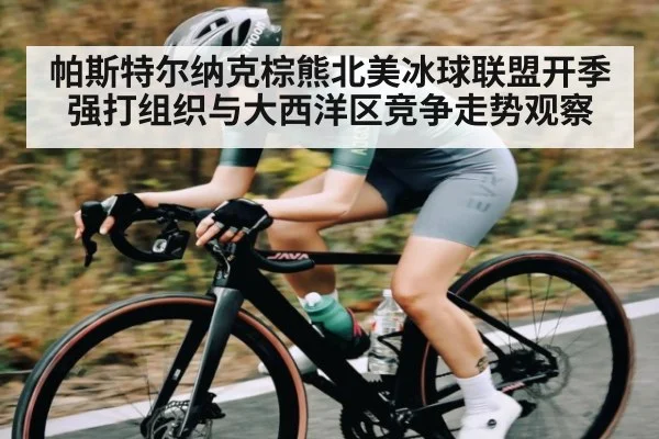 帕斯特尔纳克棕熊北美冰球联盟开季强打组织与大西洋区竞争走势观察